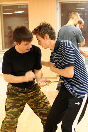 У бойових мистецтвах, коли говорять про ударній техніці, як правило, мають на увазі удари   руками і ногами