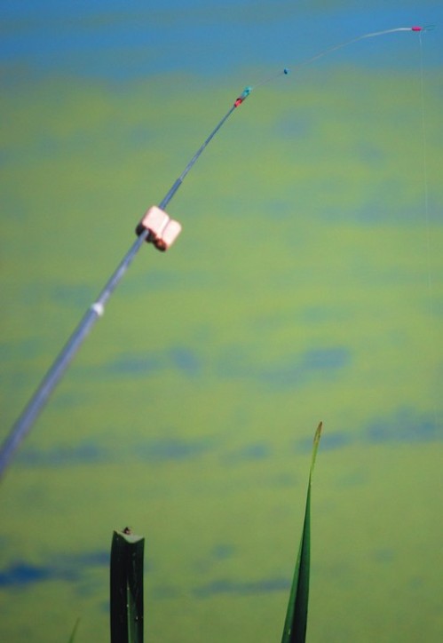 Риболовля на літню мормишку (бічний кивок) - це досить цікавий спосіб лову