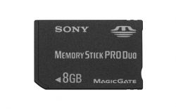 Модулі пам'яті Memory Stick використовуються в відеокамерах, цифрових фотоапаратах, персональних комп'ютерах, принтерах і інших електронних пристроях різних фірм (переважно самої компанії Sony)